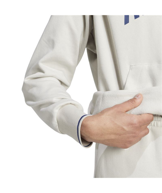 Moletom adidas Collegiate Hd Homem Cinza