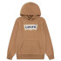 Moletom Levis Batwing Screenprint Hoodie Menino Marrom