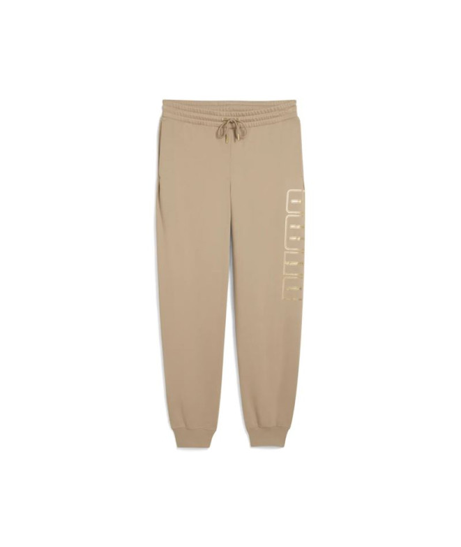 Sweat Puma Maximal Metallic Swe Homme Café Glacé