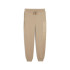Moletom Puma Maximal Metallic Swe Homem Ice Coffee