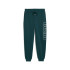 Pantalones Puma Maximal Metallic Swe Hombre Verde