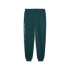 Moletom Puma Maximal Metallic Swe Homem Verde Terrain