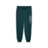 Calça Puma Maximal Metallic Sweatpants Verde Terrain