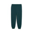 Calça Puma Maximal Metallic Sweatpants Verde Terrain
