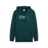 Moletom Puma Essentials Logo Lab die, Green Terrain, Homem