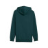 Moletom Puma Essentials Logo Lab die, Green Terrain, Homem