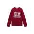 Sudadera Champion Graphic Shop Niño Granate