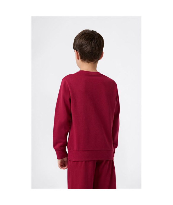 Sweat Champion Graphic Shop Enfant Grenat