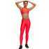 Mallas de Fitness Under Armour Hg Legging Mujer Rojo