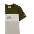 Camiseta Champion Icons Plus Menino Verde