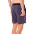 Pantalón de Pádel Mizuno Db 8 Inches Amplify Short Hombre Gris