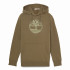 Moletom Timberland Kennebec River Tree Logo Homem Verde