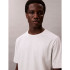 T-shirt Calvin Klein Lifestyle Ss Tee,
