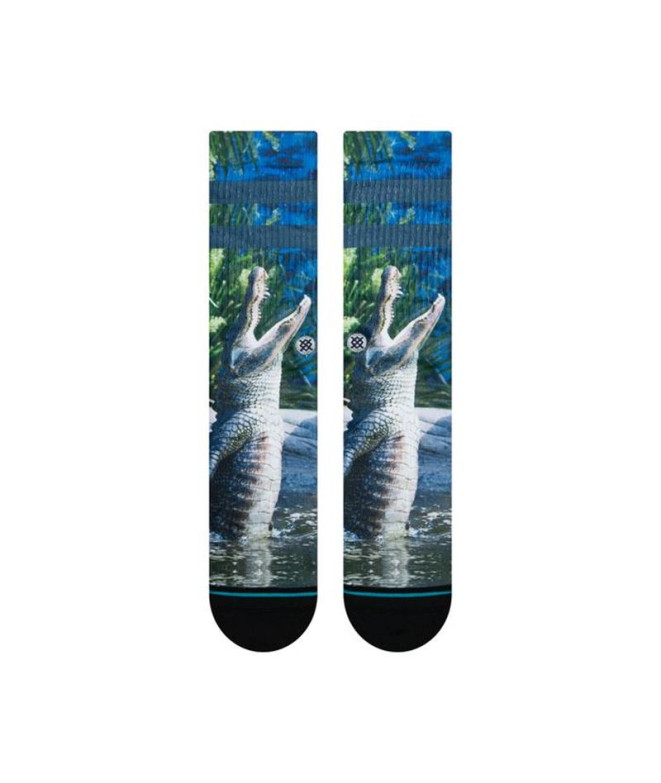 Vêtements de sport Chaussettes Stance Alberta