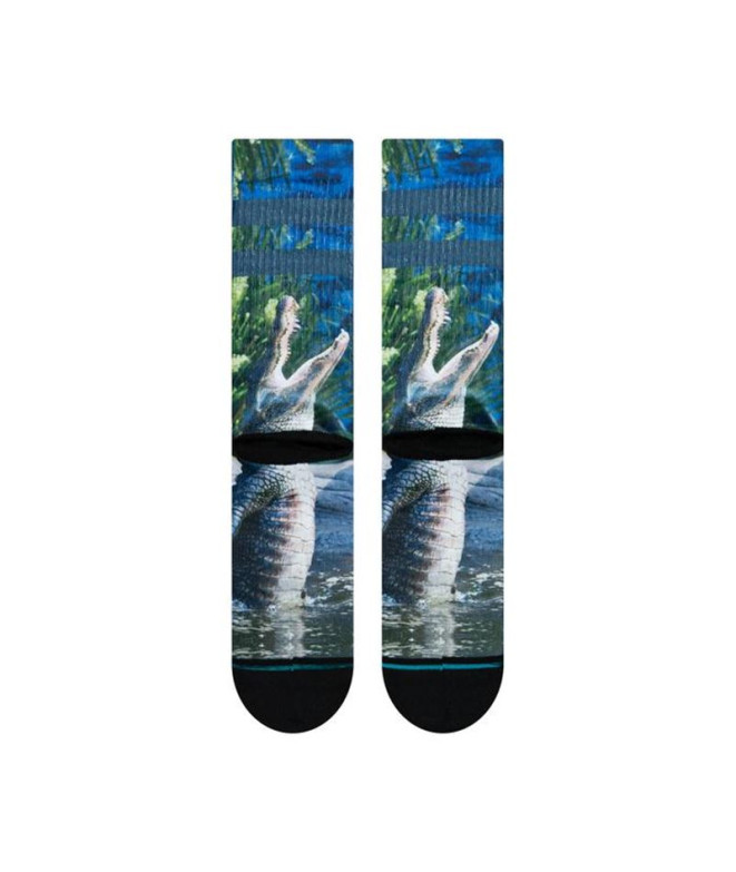 Calcetines Sportswear Stance Alberta