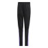 Pantalón de Fútbol adidas Sq25 Tr Pnt Y Infantil Negro / Rafmor