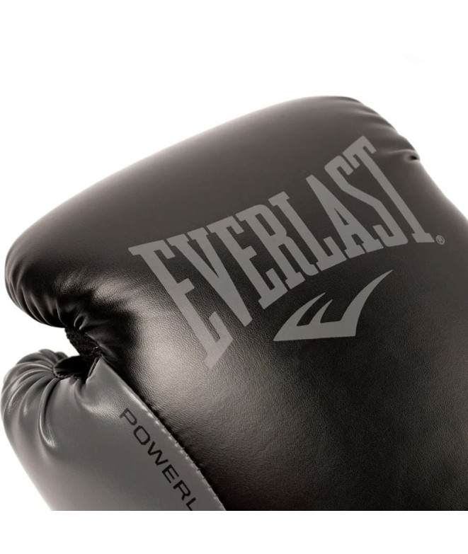 Luvas de boxe Everlast Fse Powerlock 2R...