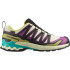 Zapatillas de Trail Salomon Xa Pro 3D V9 Gtx Transparent Yellow/B Hombre