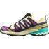 Zapatillas de Trail Salomon Xa Pro 3D V9 Gtx Transparent Yellow/B Hombre