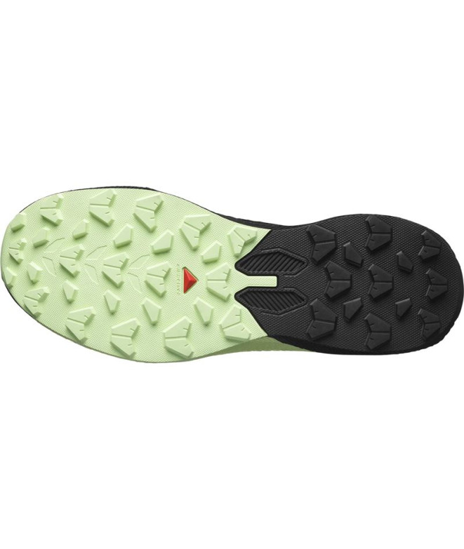 Sapatilhas de Trail Salomon Pulsar...