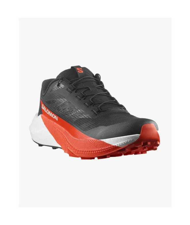 Chaussures de Trail Salomon Pulsar...