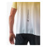 Camiseta de Running Compressport Performance Ss Ceylon Amarelo/Cinza Dawn