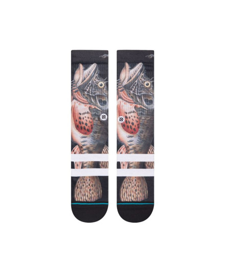 Sportswear Socks Stance Taylor Creek 2