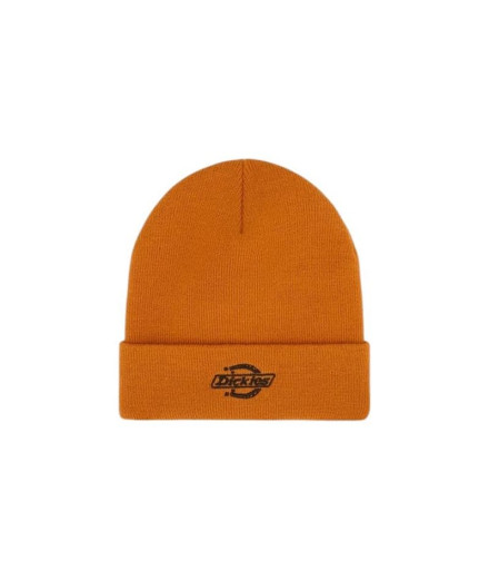 Boné Dickies Summerdale Outono Maple