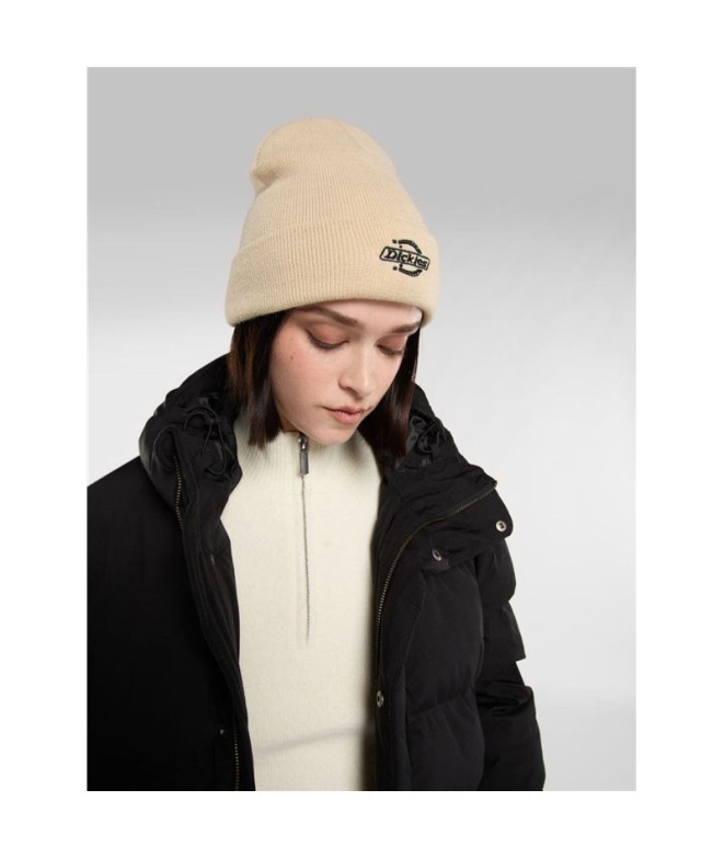 Boné Dickies Summerdale Madeira Cinza