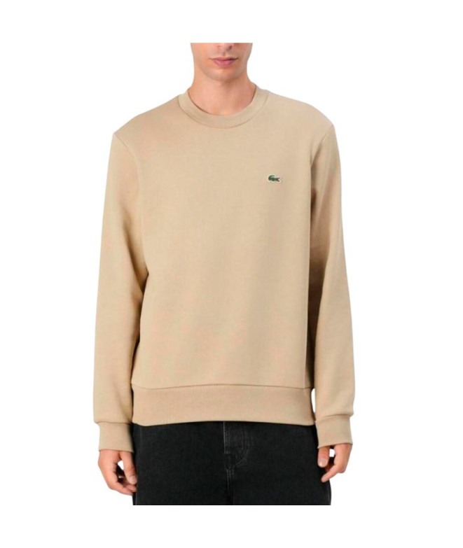 Sweat Lacoste Sweatshirt Homme Beige