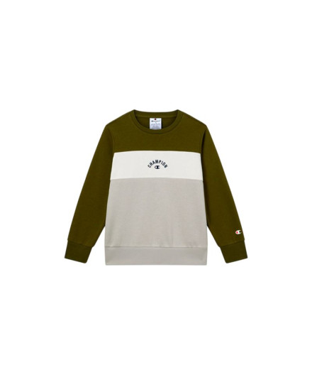 Sudadera Champion Icons Plus Niño Verde