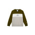 Sudadera Champion Icons Plus Niño Verde