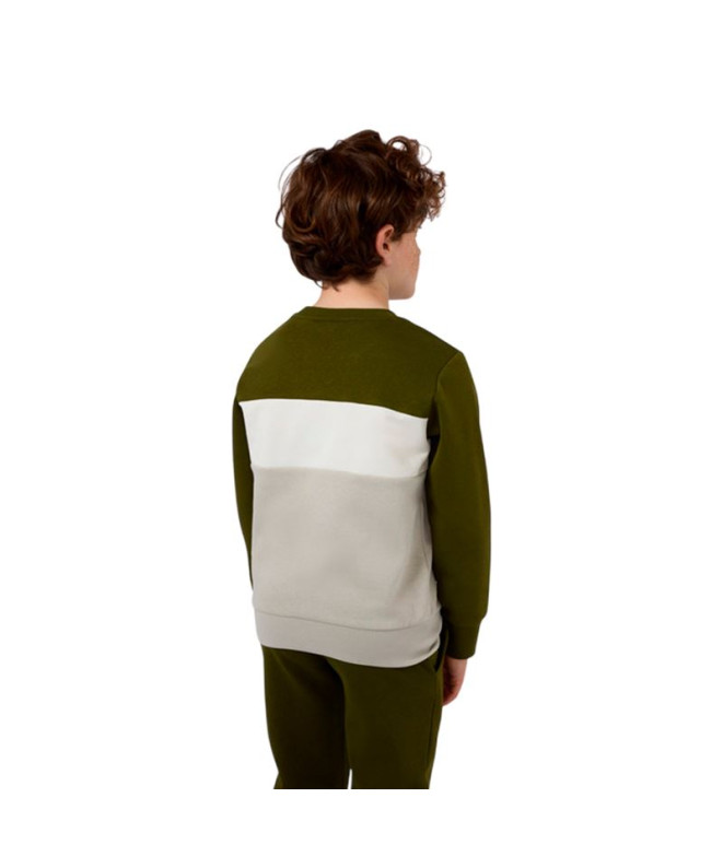Sudadera Champion Icons Plus Niño Verde