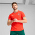 Sudadera Puma FPF Home Authentic J,Sport Red-Suga,USXS Hombre
