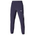 Calça de Pádel Mizuno Frontier Shadow Homem Cinza