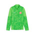 T-shirt de Football Puma Girona Training 1/4 Zip, Parakeet Gre, Enfant