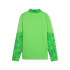 T-shirt de Football Puma Girona Training 1/4 Zip, Parakeet Gre, Enfant
