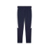 Pantalón de Fútbol Puma Parma Calcio Teamevo Navy Hombre