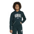 Moletom adidas Clgt Oh Fleece Hd Infantil Verde
