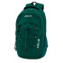 Mochila Montaña Axel 20 Citrico