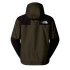 Chaqueta The north Face Reign On New Taupe Hombre Verde