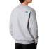 Moletom The north Face Drew Peak Regular Crew Tnf Light Cinza Homem