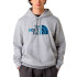 Moletom The north Face Drew Peak Regular Tnf Light Cinza Homem