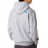 Moletom The north Face Drew Peak Regular Tnf Light Cinza Homem