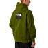 Sudadera The north Face Raglan Box Nse Regular Woodland Verde Hombre