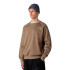 Sudadera The north Face Raglan Box Nse Regular Crew Mocha Marrón