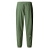 Pantalon The north Face M Mountain Athletics Wind Homme Vert