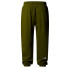 Pantalon The north Face Essential Relaxed Straight Jogger Woodland Vert Homme