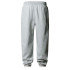 Pantalon The north Face Essential Relaxed Straight Tnf Light Gris Heather