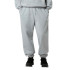 Pantalon The north Face Essential Relaxed Straight Tnf Light Gris Heather